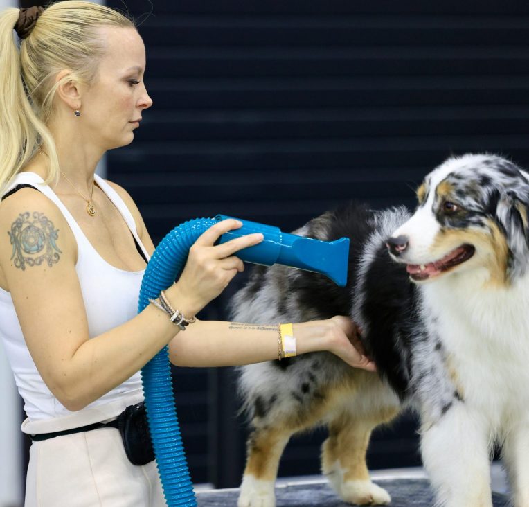 Assistant Lead Dog Groomer
