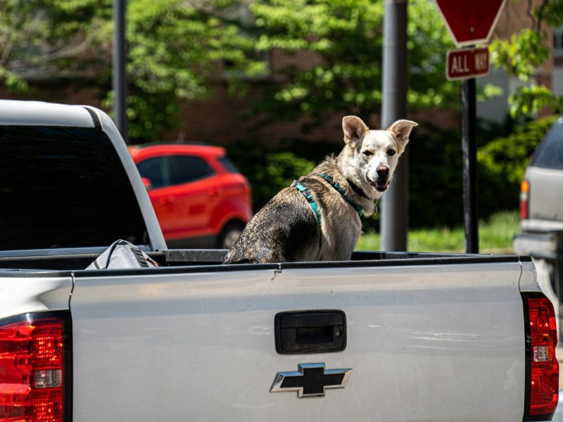 Same Day Pick & Drop Service Available