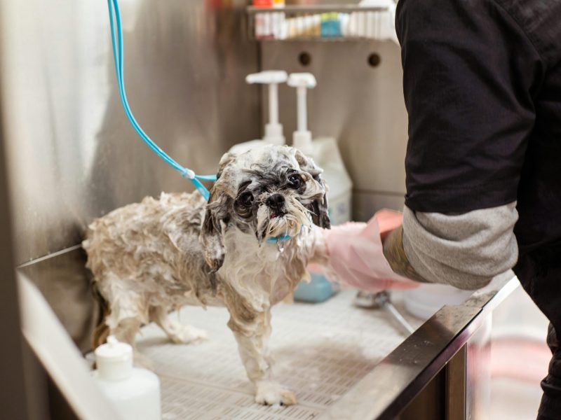 Hydro - Massage & Bath